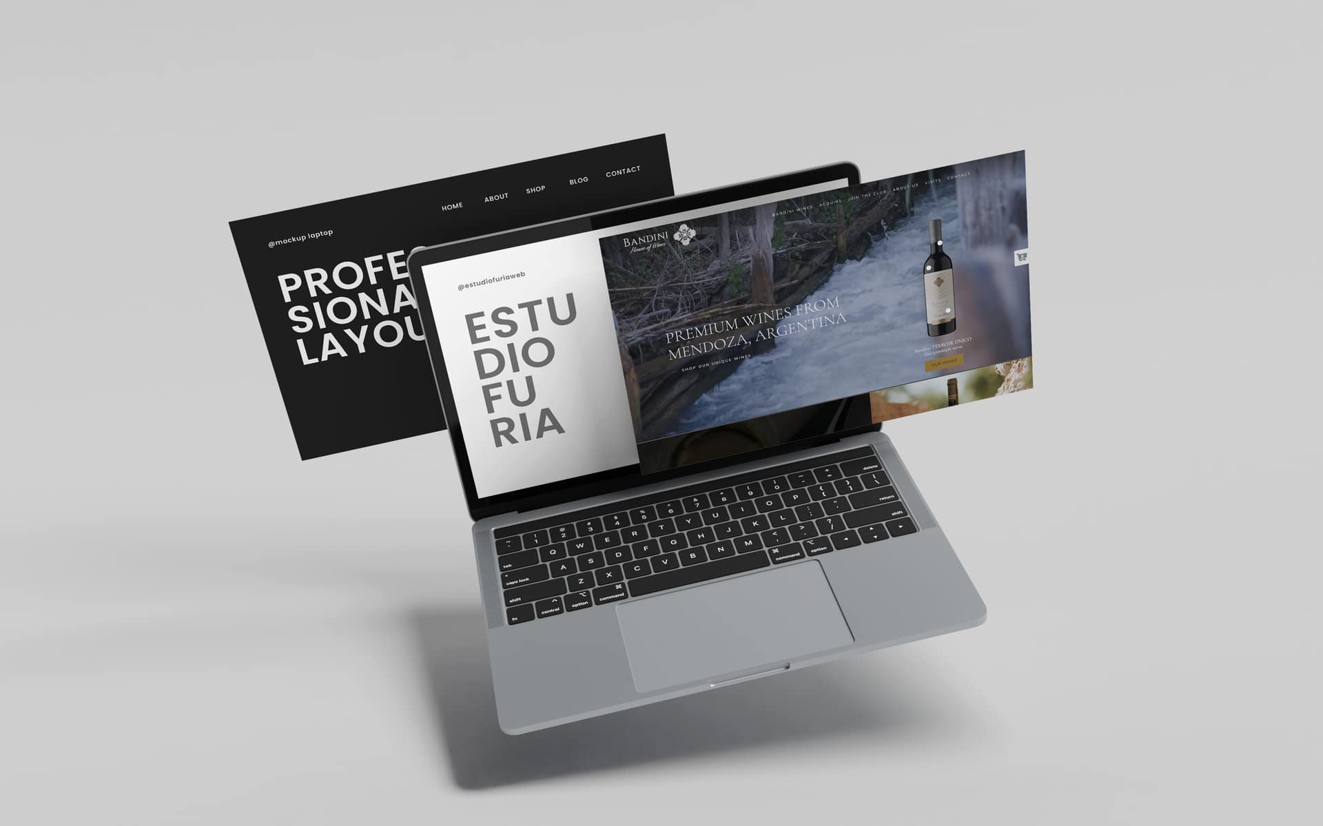 Agencia Estudio Furia - Servicios de diseño web y marketing digital